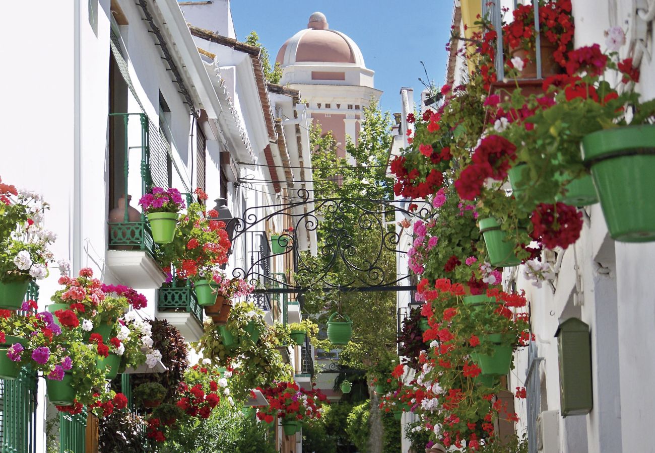 Ferienwohnung in Casares - AL-1721