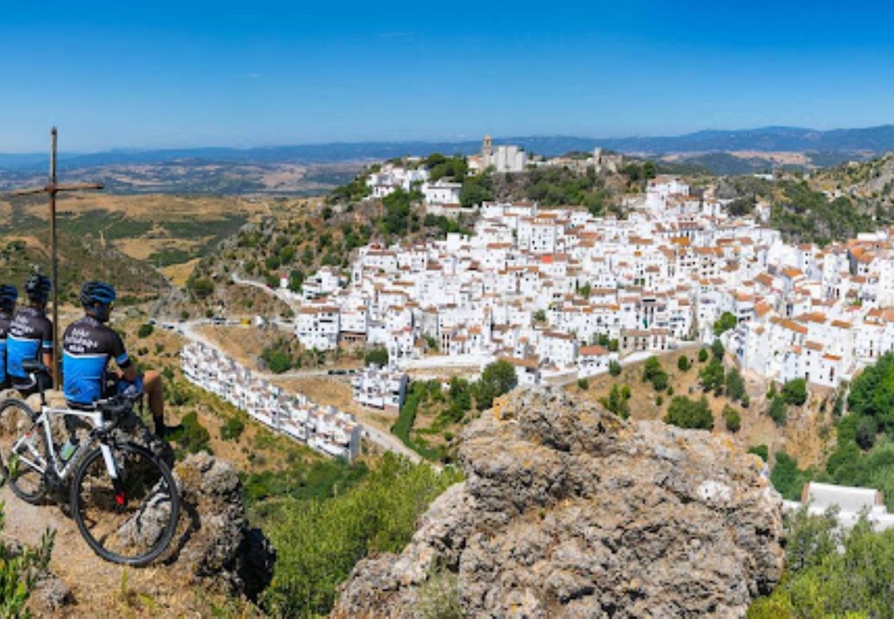 Ferienwohnung in Casares - AL-1721