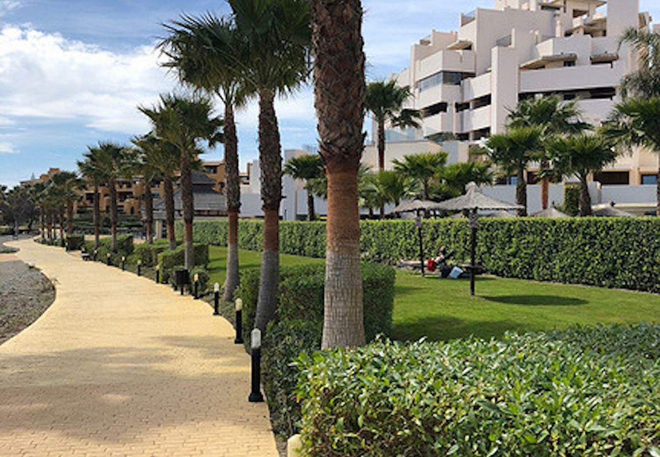 Apartamento en Estepona - 117